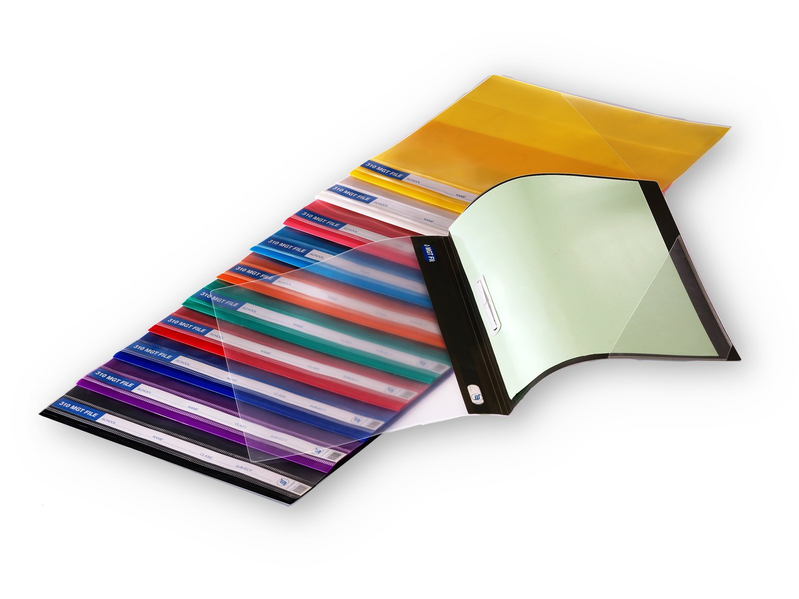 Flat File 310 PE