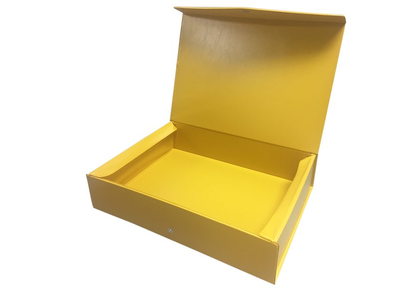 PVC Box File With Button 3