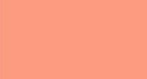 SALMON – C280